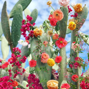 Meet your Posher, Krissy